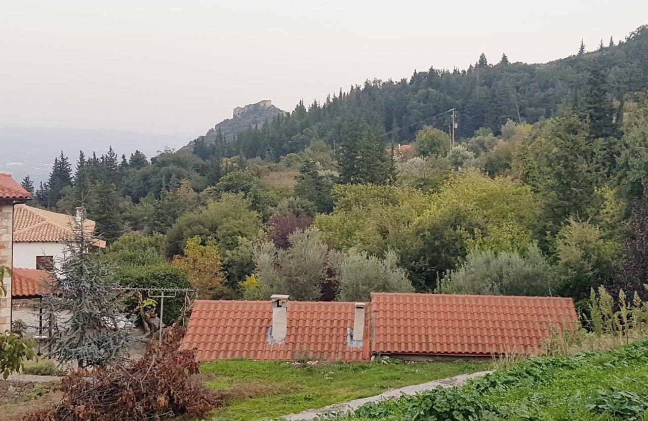 Pensjonat Luxury House In The Hills Sparta Zewnętrze zdjęcie